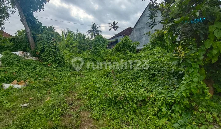 Di Jual Tanah Sukawati Dekat Ubud Tanah