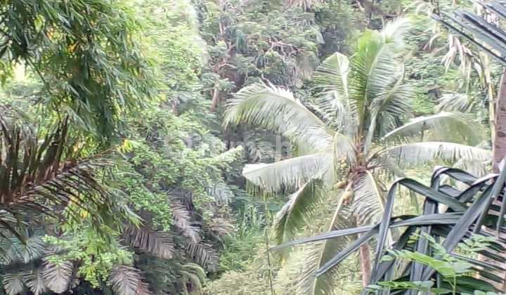 Di Jual Tanah Los Sungai Sayan Ubud