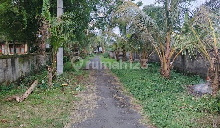 Tanah Murah Kemenuh Ubud 235jt/are Brayy