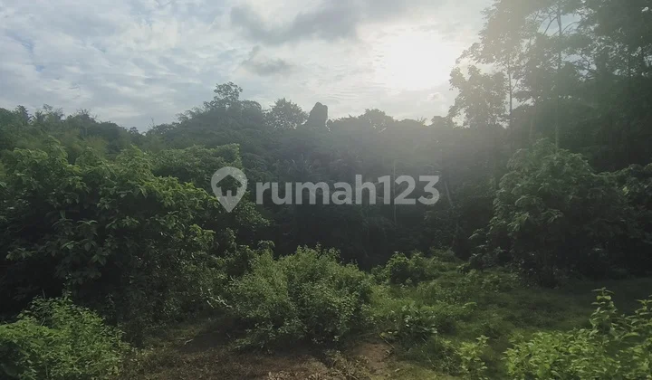 Sell Small Lot River Plot Suitable for Villa