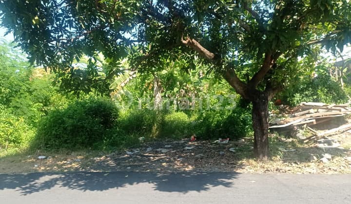 Tanah Murah Di Merta Ayu