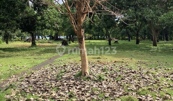 Di jual lahan di bali bagian utara Lahan luas partai besar cocok untuk industri