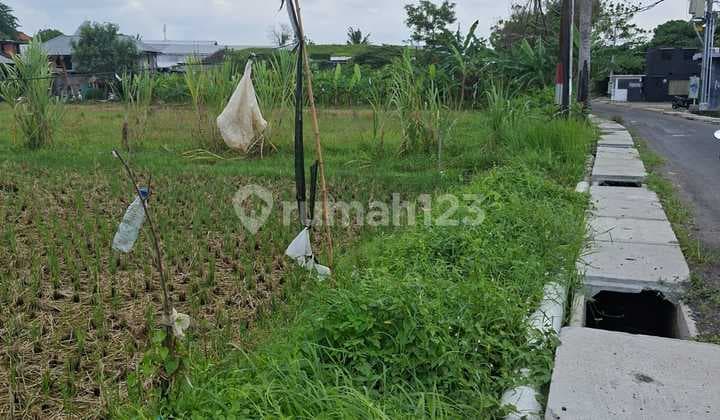 Tanah untuk di sewakan 6 are atau 600m2 Lokasi di kerobokan kelod