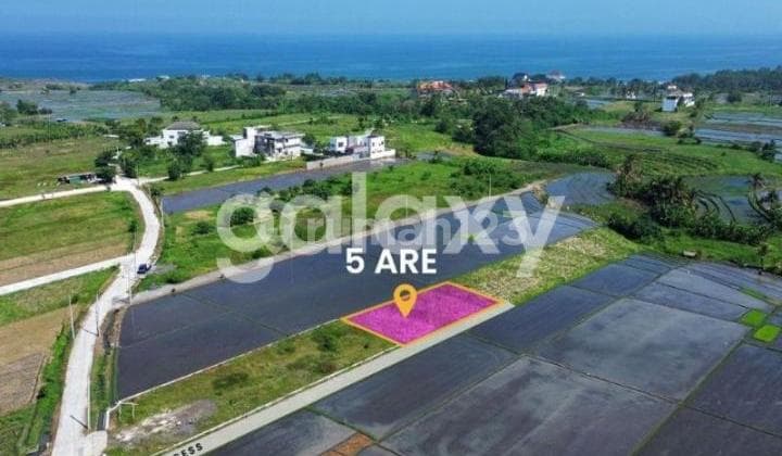 Premium Ready-to-Build Land Kedungu, Belalang Village, Kediri, Tabanan, Bali