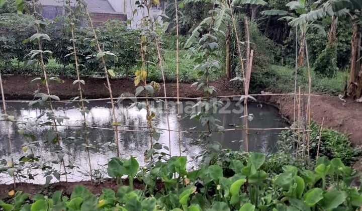 Di Bawah NjOP Tanah Mainroad Strategis Di Ujungberung Dekat Griya