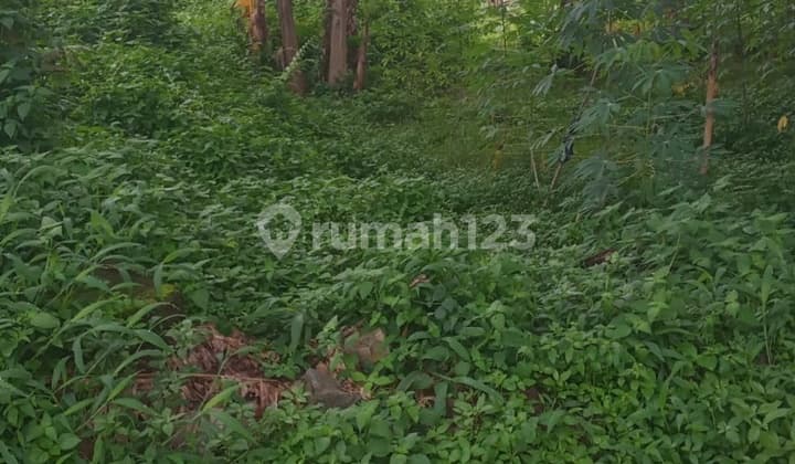 Wide 1400 square meter certified land near toll road in North Sumedang.
