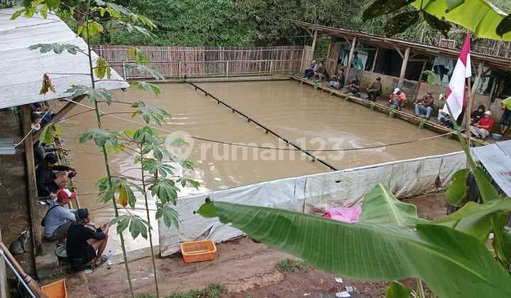 Tanah Kolam Pemancingan Murah Bagus Dijual Di Cimenyan Padasuka Bandung