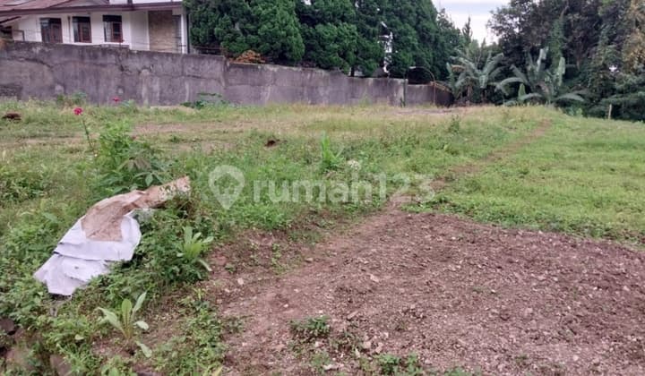 Land for sale in Setiabudi near Guguk house.
