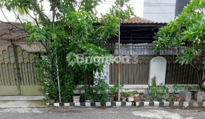 DIJUAL RUMAH LAMA 1 LANTAI MANYAR DEKAT PAKUWON CITY DAN GALAXY MALL