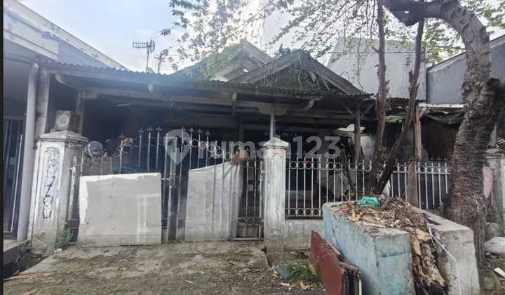 Rumah Nanas Semangka Manggis Melon Jeruk Emerald Pondok Tjandra