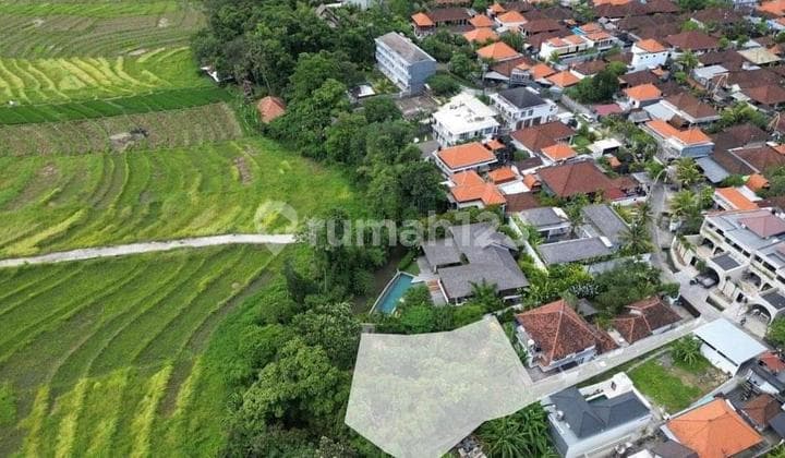 Tanah di Pererenan Canggu Dengan View Sungai Dan Sawah