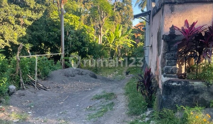 Bonus Land with Building in Lovina Buleleng