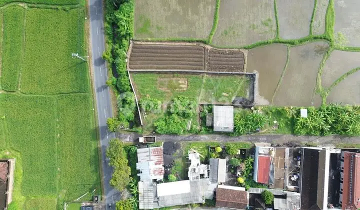 Land with Ricefield View in Gianyar