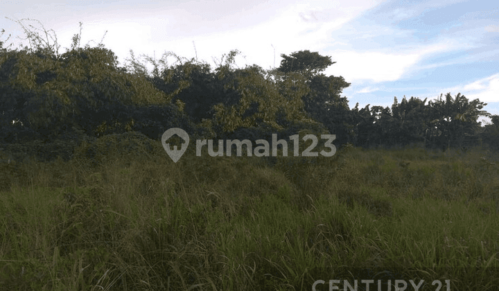 Dijual Tanah Lokasi Bagus Untuk Usaha Di Cikaret Cibinong Bogor