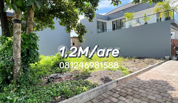 For Sale Tanah Ukuran Ideal Di Semat Berawa - Jarang Tersedia, Lokasi Strategis