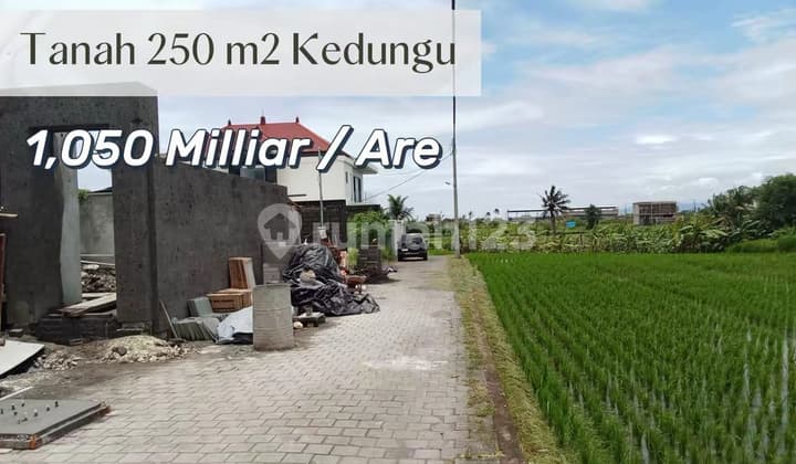For Saletanah Premium 2,5 Are dengan Pemandangan Sawah & Gunung - Potensi Villa Komersial Eksklusif di Kedungu