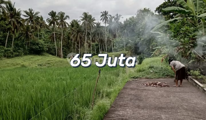 Tanah Murah Los Sungai Dekat Pantai Balian - Lokasi Strategis Untuk Villa Dan Investasi