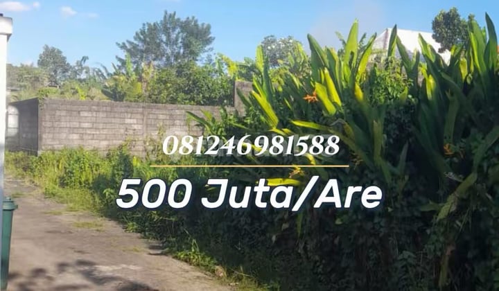 Tanah Hook Strategis di Lingkungan Villa - Potensi Investasi Tinggi Tabanan