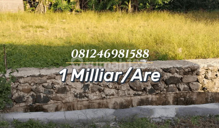For Sale Tanah Strategis View Sawah di Kawasan Eksklusif Ciputra Land Beach Kedungu