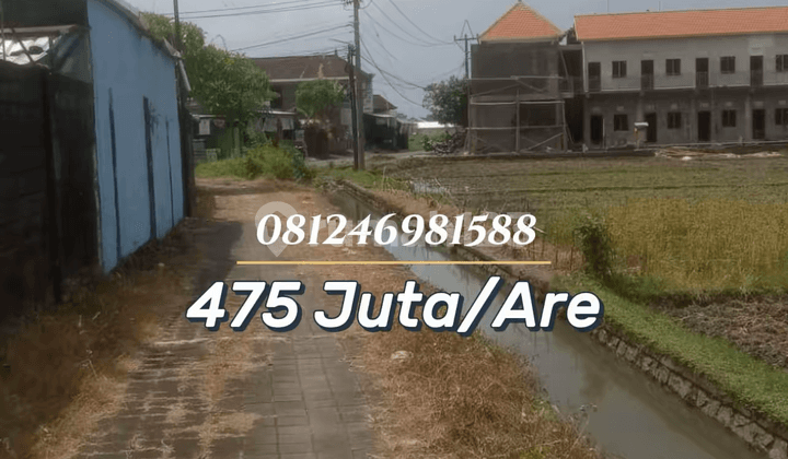For Sale Tanah Strategis Area Bukit Tinggi Gadon Bringkit - Cocok untuk Rumah atau Investasi