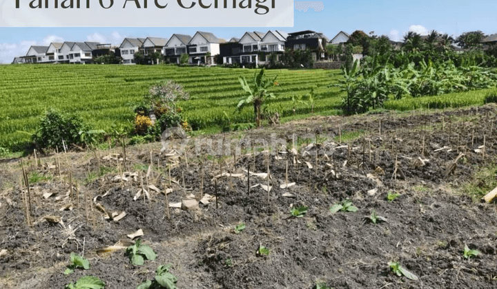 For Sale Tanah Premium Cemagi - Dekat Pantai & View Sawah, Zona Wisata