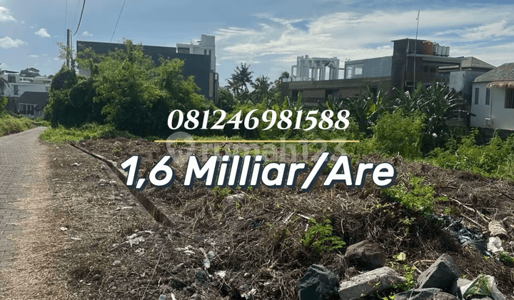 Tanah Premium 100 Meter ke Pantai Cemagi - Investasi Langka di Area Favorit Bali