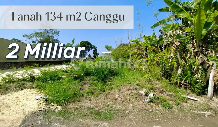 For Sale Tanah Hook Strategis di Canggu - Akses Ganda, Siap Bangun & Investasi