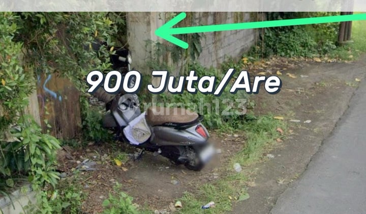Rare Land by Main Road Near Canggu – Best Investment for Business or Villa