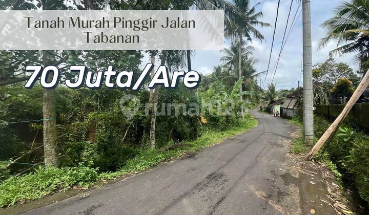 For Sale Tanah Strategis 27,5 Are Tabanan Dekat Akses Tol