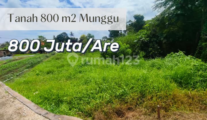 For Sale 8 Are Land with Rice Field and River View, Munggu