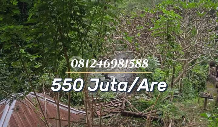 For Sale - Tanah Premium View Jungle & Los Sungai di Lodtunduh Ubud