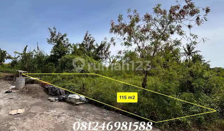 For Sale Tanah View Sawah Strategis Cocok untuk Villa di Nyitdah Tabanan