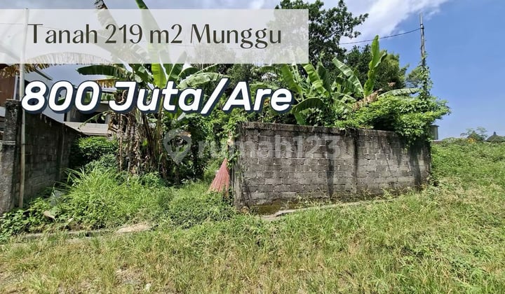 Strategic Small Land with Rice Field View, Premium Villa Potential in Munggu