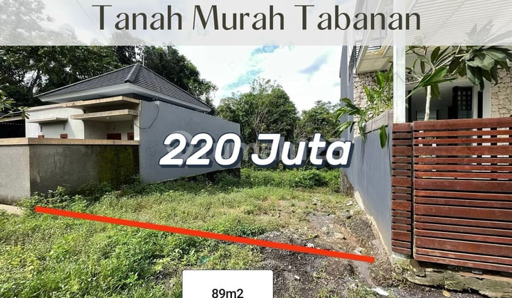 Tanah Kavling Strategis Di Bca Land Senapahan – Investasi Tepat Di Kawasan Tumbuh Cepat!