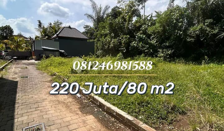 For Sale - Tanah Kavling Strategis Harga Terjangkau di Kediri, Cocok untuk Hunian Pribadi & Investasi