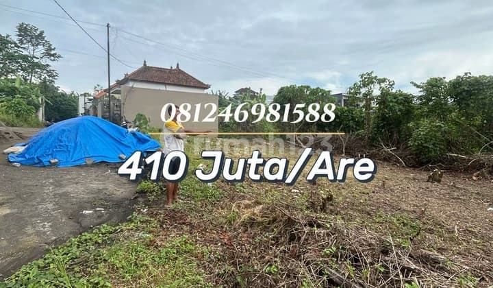 For Sale Tanah Murah Kawasan Villa Pandak Gede - Investasi Potensial Tabanan