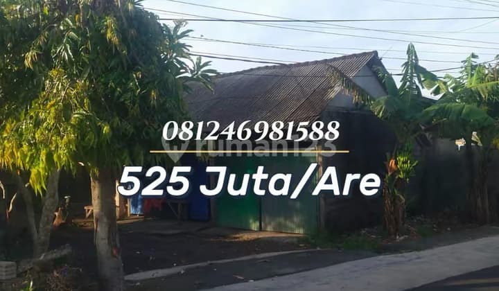 For Sale - Tanah Strategis Akses Jalan Utama Dekat Pantai, Potensi Tinggi untuk Investasi & Usaha