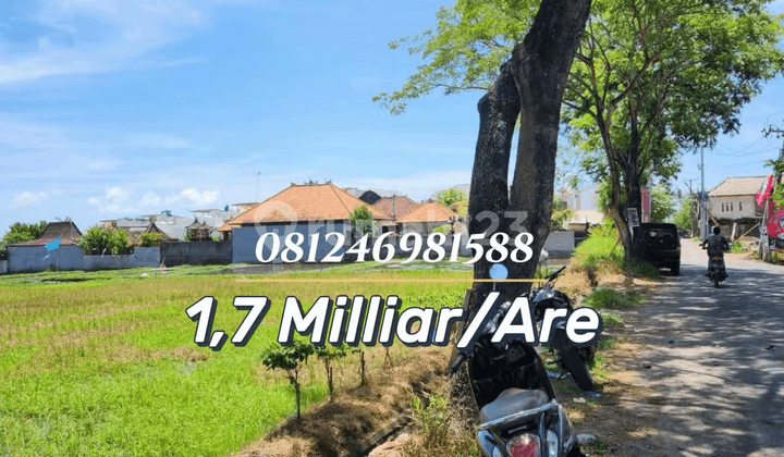 For Sale or Rent Prime Land Investment - 150 Meters From Seseh Beach