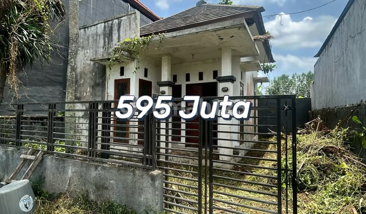 Dijual Rumah Potensi Investasi — Pandak Gede, Tabanan