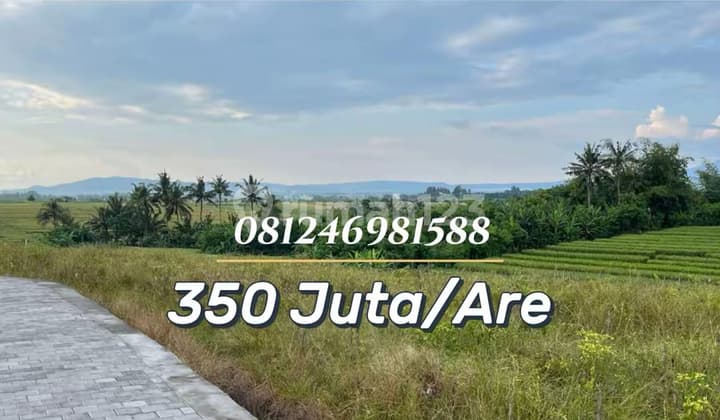 For Sale - Tanah Strategis 500 Meter ke Pantai, Zona Wisata Pasut Tabanan