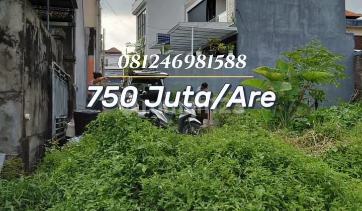 For Sale Tanah Strategis Dalung - Investasi Ideal Dekat Jalan Utama