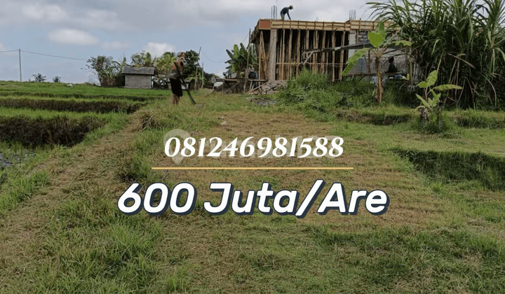 For Sale Tanah View Sawah & Sungai - Investasi Strategis Cocok untuk Villa
