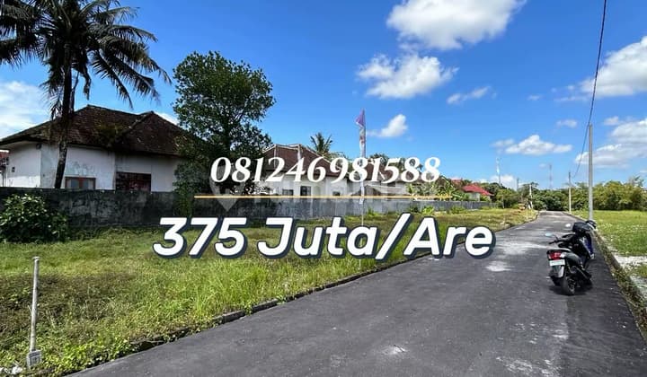 For Sale Tanah Strategis View Sawah Aktif - Investasi & Hunian Ideal di Tabanan