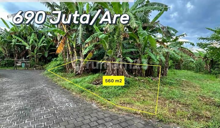 Rare Land in the Premium Area of Nyanyi Beach, High-Return Commercial Villa Potential
