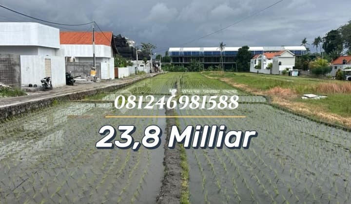 For Sale Tanah Komersial 400 Meter Dari Pantai Seseh - Lokasi Premium untuk Villa & Investasi