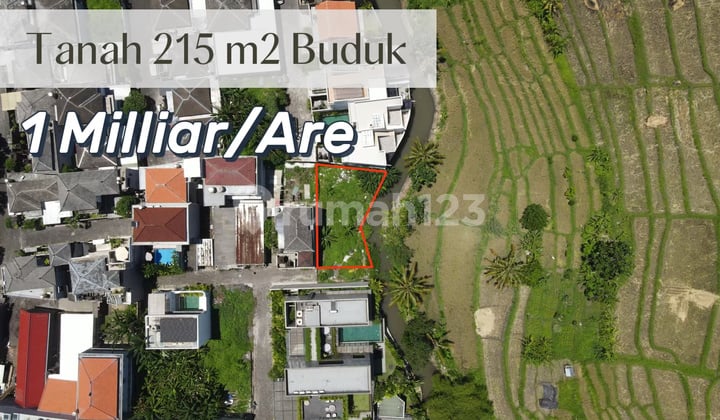 For Sale Land 2.15 Are with Rice Field View in Buduk