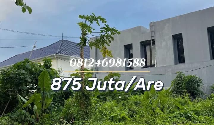 Tanah Siap Bangun di Kawasan Villa - Investasi Premium Munggu Pemaron