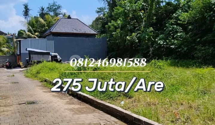 For Sale - Tanah Kavling Strategis Harga Terjangkau di Kediri, Cocok untuk Hunian Pribadi & Investasi