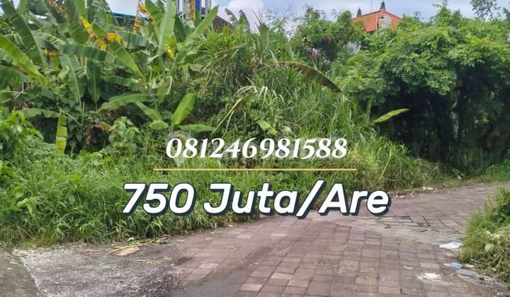 For Sale - Tanah Premium 5,25 Are di Area Strategis Canggu, Cocok untuk Villa & Investasi