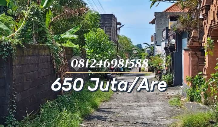 For Sale - Lahan Strategis Dekat Pantai Seseh, Potensi Tinggi untuk Investasi & Hunian Eksklusif